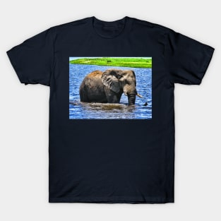 Cooling Down T-Shirt